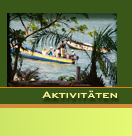 Link zu Aktivitäten